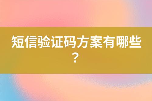 短信驗(yàn)證碼方案有哪些？